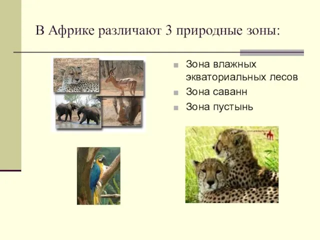 В Африке различают 3 природные зоны: Зона влажных экваториальных лесов Зона саванн Зона пустынь