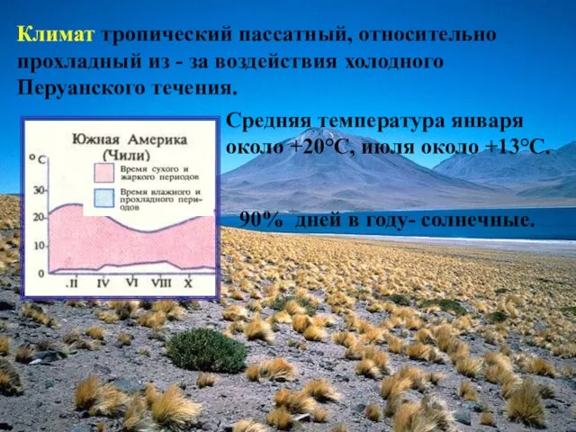 Климат тропический пассатный, относительно прохладный из - за воздействия холодного Перуанского течения.