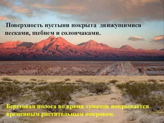 Поверхность пустыни покрыта движущимися песками, щебнем и солончаками. Береговая полоса во время