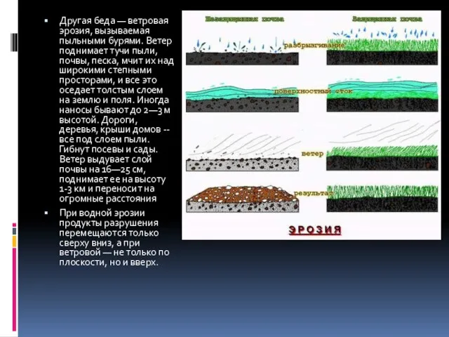 Другая беда — ветровая эрозия, вызываемая пыльными бурями. Ветер поднимает тучи пыли,