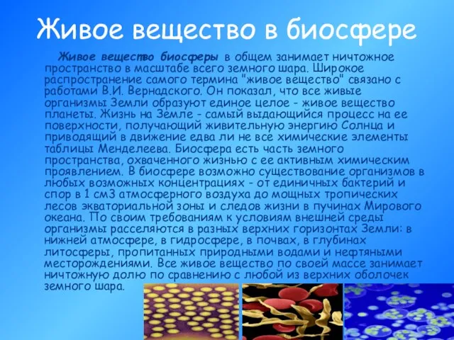 Живое вещество в биосфере Живое вещество биосферы в общем занимает ничтожное пространство