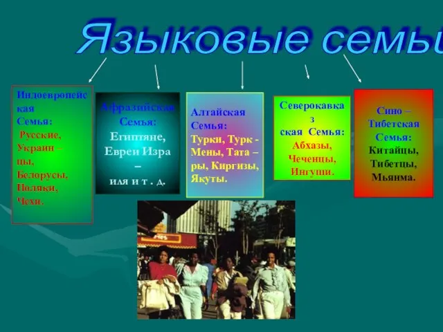 Языковые семьи Индоевропейская Семья: Русские, Украин – цы, Белорусы, Поляки, Чехи. Афразийская