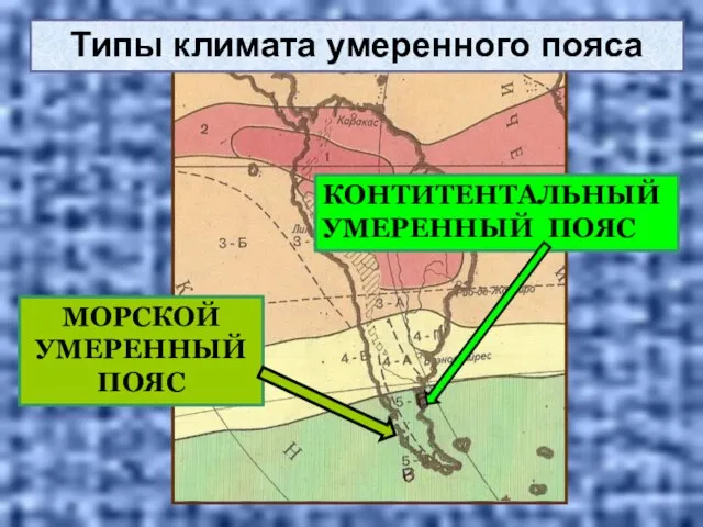 МОРСКОЙ УМЕРЕННЫЙ ПОЯС КОНТИТЕНТАЛЬНЫЙ УМЕРЕННЫЙ ПОЯС Типы климата умеренного пояса