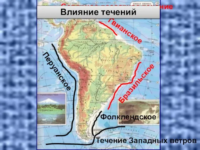 Гвианское Бразильское Перуанское Фолклендское Течение Западных ветров Северное пассатное течение Влияние течений