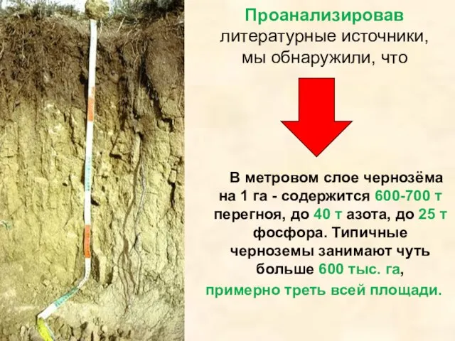 Проанализировав литературные источники, мы обнаружили, что В метровом слое чернозёма на 1