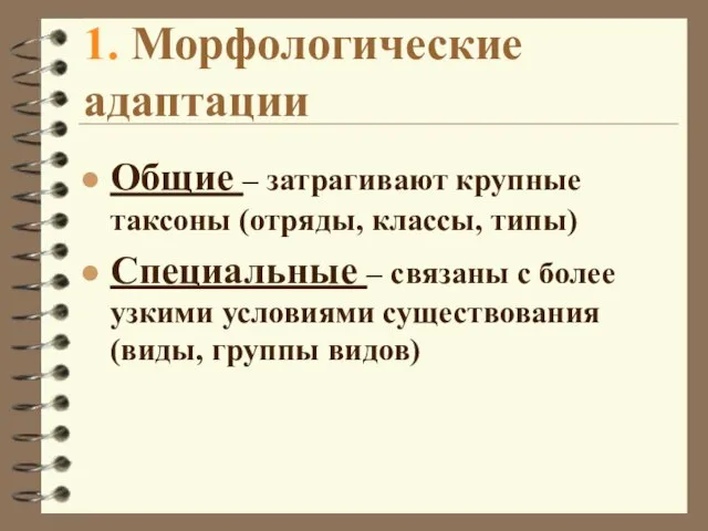 1. Морфологические адаптации Общие – затрагивают крупные таксоны (отряды, классы, типы) Специальные