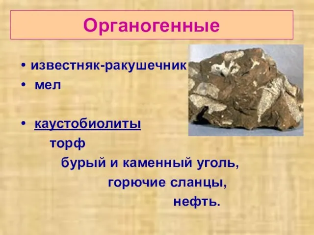 Органогенные известняк-ракушечник мел каустобиолиты торф бурый и каменный уголь, горючие сланцы, нефть.