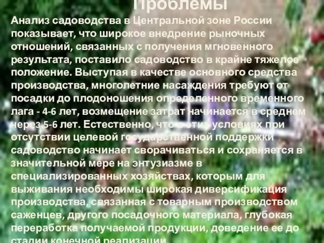 Проблемы Анализ садоводства в Центральной зоне России показывает, что широкое внедрение рыночных