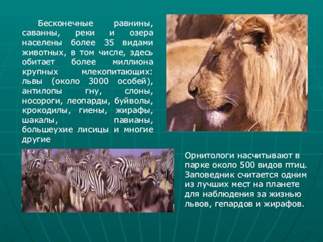 Бесконечные равнины, саванны, реки и озера населены более 35 видами животных, в