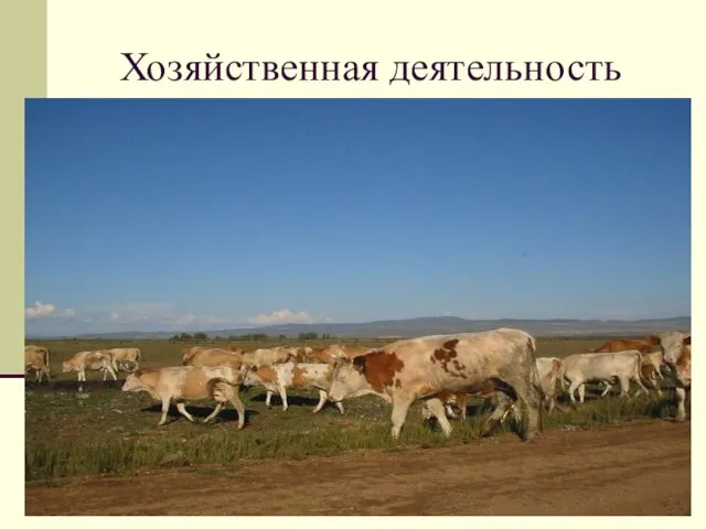 Хозяйственная деятельность Астраханская полупустыня