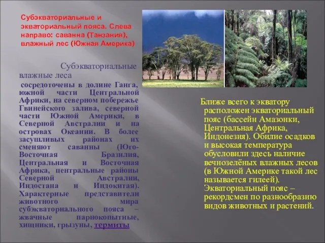 Субэкваториальные и экваториальный пояса. Слева направо: саванна (Танзания), влажный лес (Южная Америка)