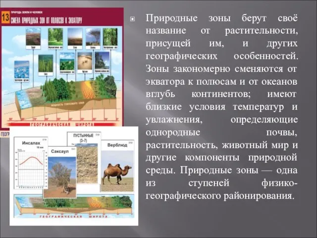 Природные зоны берут своё название от растительности, присущей им, и других географических