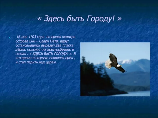 « Здесь быть Городу! » 16 мая 1703 года во время осмотра