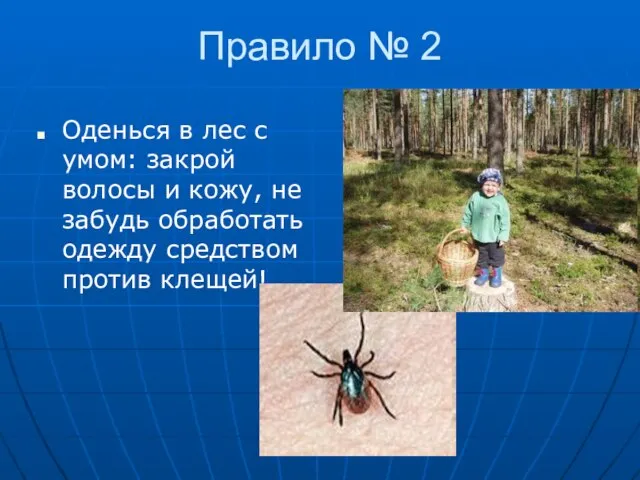 Правило № 2 Оденься в лес с умом: закрой волосы и кожу,