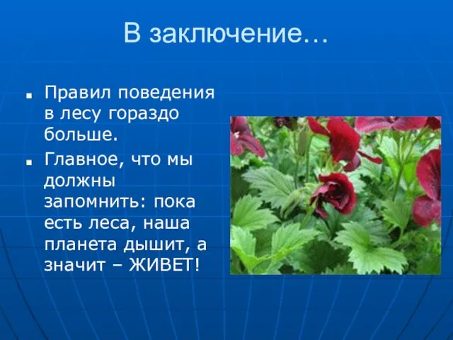 В заключение… Правил поведения в лесу гораздо больше. Главное, что мы должны