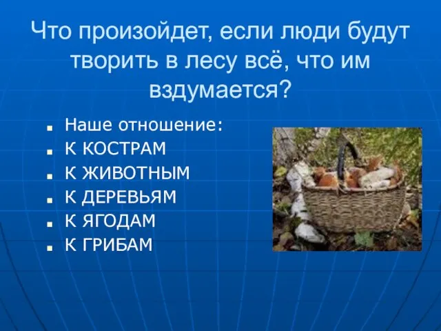 Что произойдет, если люди будут творить в лесу всё, что им вздумается?