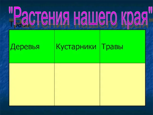 Травы "Растения нашего края"