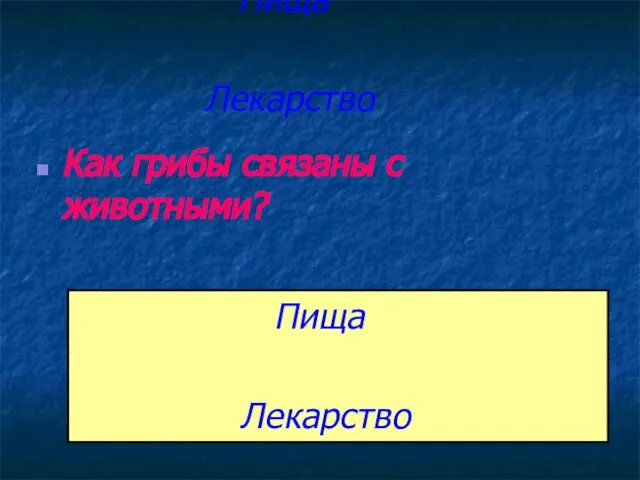 Пища Лекарство Как грибы связаны с животными?