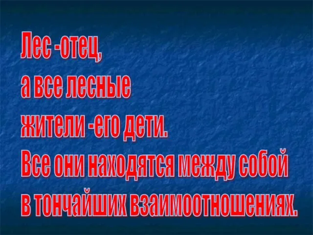 Лес -отец, а все лесные жители -его дети. Все они находятся между собой в тончайших взаимоотношениях.