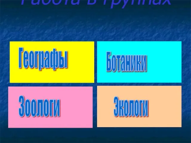 Работа в группах Экологи Ботаники Географы Зоологи