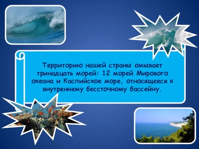 Территорию нашей страны омывает тринадцать морей: 12 морей Мирового океана и Каспийское
