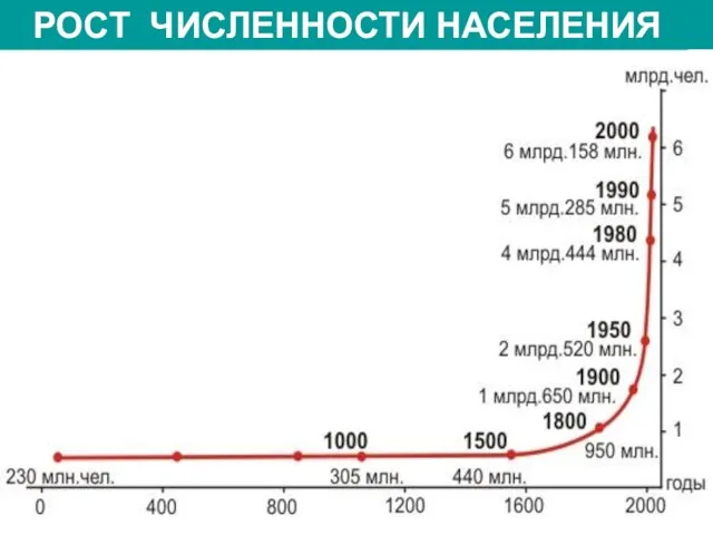 НАСЕЛЕНИЕ ОБЕЗЬЯНОПОДОБНЫЕ: 2 млн. лет назад ЧЕЛОВЕК: 40 тыс. лет назад НЕАНДЕРТАЛЕЦ