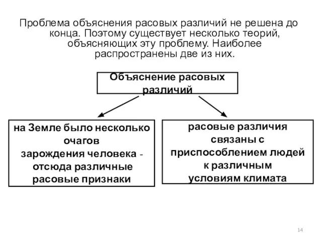 Проблема объяснения расовых различий не решена до конца. Поэтому существует несколько теорий,