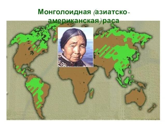 Монголоидная (азиатско-американская) раса