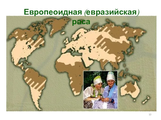 Европеоидная (евразийская) раса
