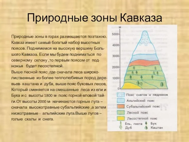 Природные зоны Кавказа Природные зоны в горах размещаются поэтажно. Кавказ имеет самый