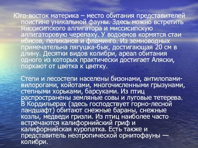 Юго-восток материка – место обитания представителей поистине уникальной фауны. Здесь можно встретить