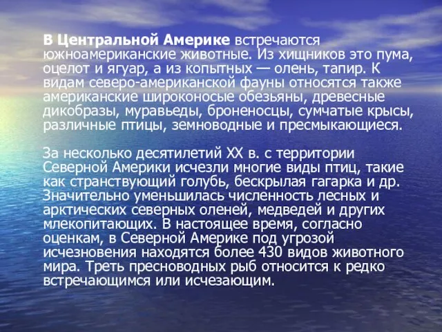 В Центральной Америке встречаются южноамериканские животные. Из хищников это пума, оцелот и