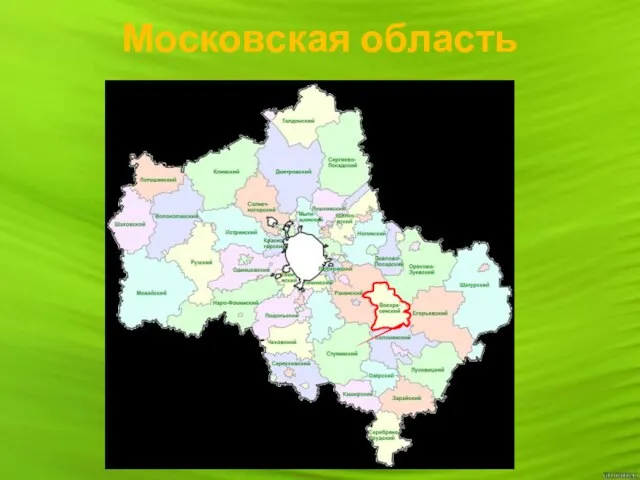 Московская область