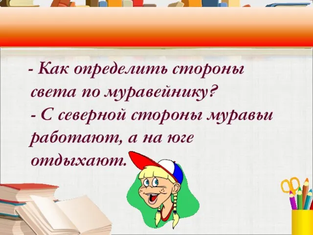 - Как определить стороны света по муравейнику? - С северной стороны муравьи