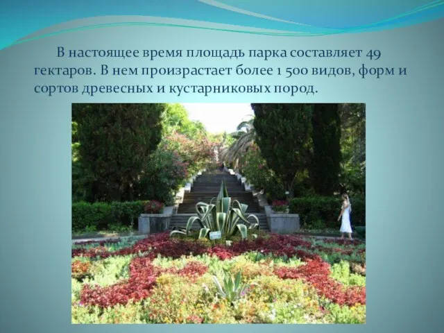 В настоящее время площадь парка составляет 49 гектаров. В нем произрастает более