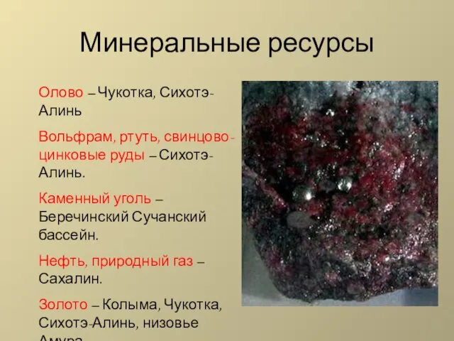 Минеральные ресурсы Олово – Чукотка, Сихотэ-Алинь Вольфрам, ртуть, свинцово-цинковые руды – Сихотэ-Алинь.