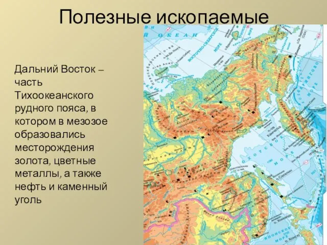 Полезные ископаемые Дальний Восток – часть Тихоокеанского рудного пояса, в котором в