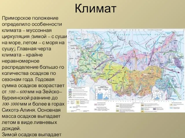 Климат Приморское положение определило особенности климата – муссонная циркуляция (зимой – с