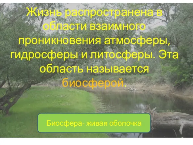 Жизнь распространена в области взаимного проникновения атмосферы, гидросферы и литосферы. Эта область