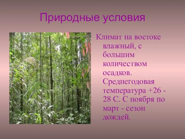 Природные условия Климат на востоке влажный, с большим количеством осадков. Среднегодовая температура