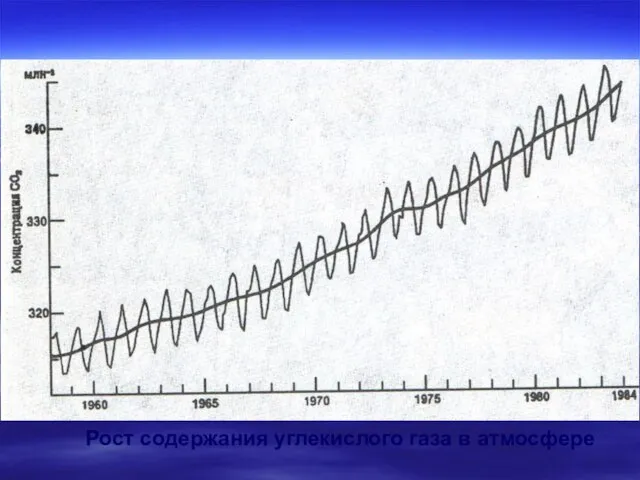 Рост содержания углекислого газа в атмосфере