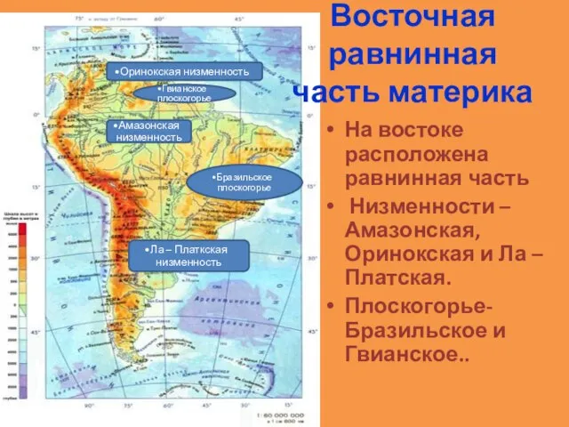 Восточная равнинная часть материка На востоке расположена равнинная часть Низменности – Амазонская,