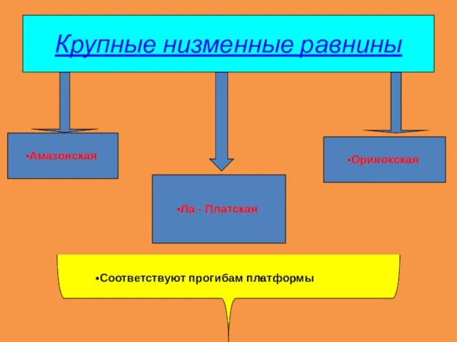 Крупные низменные равнины Амазонская Ла - Платская Оринокская Соответствуют прогибам платформы