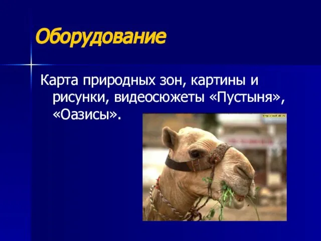 Оборудование Карта природных зон, картины и рисунки, видеосюжеты «Пустыня», «Оазисы».