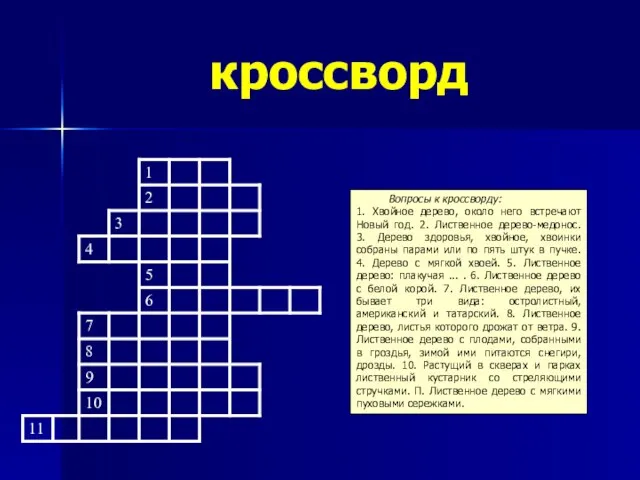 кроссворд Вопросы к кроссворду: 1. Хвойное дерево, около него встречают Новый год.