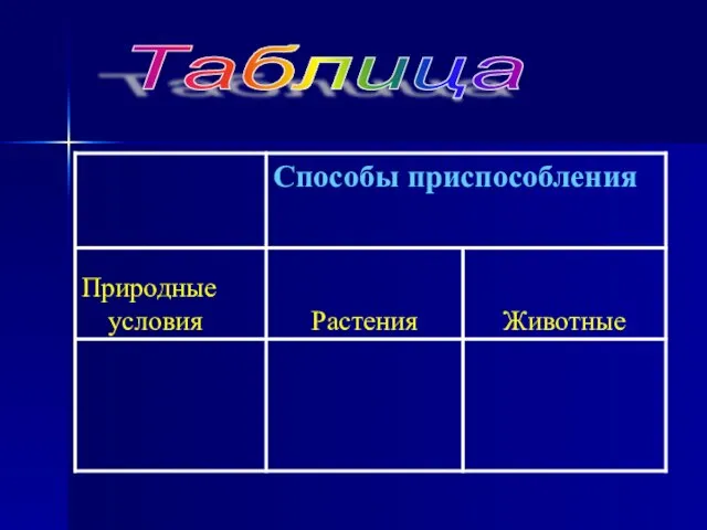 Таблица