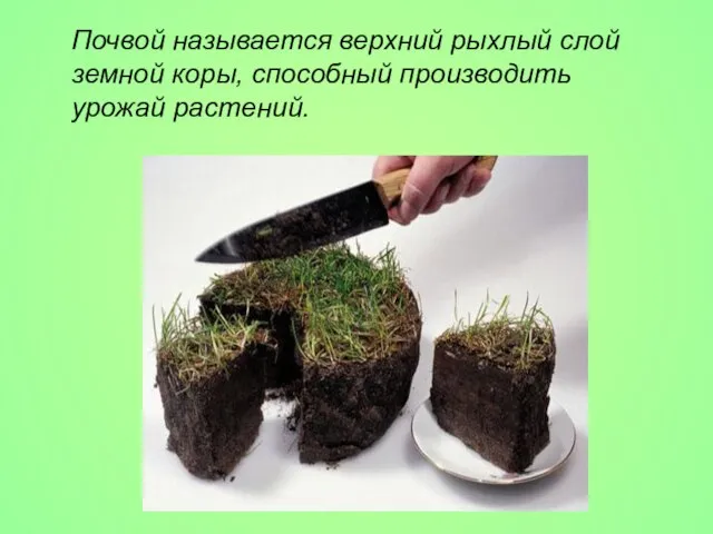 Почвой называется верхний рыхлый слой земной коры, способный производить урожай растений.