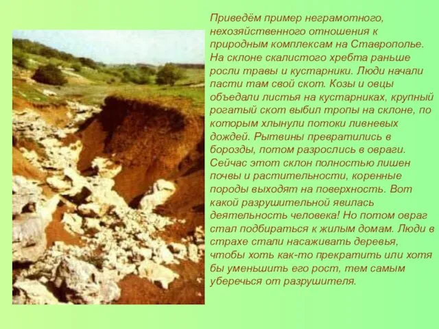Приведём пример неграмотного, нехозяйственного отношения к природным комплексам на Ставрополье. На склоне
