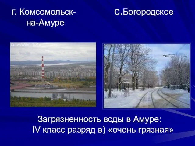 г. Комсомольск- с.Богородское на-Амуре Загрязненность воды в Амуре: IV класс разряд в) «очень грязная»