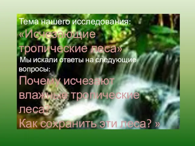 Тема нашего исследования: «Исчезающие тропические леса» Мы искали ответы на следующие вопросы: